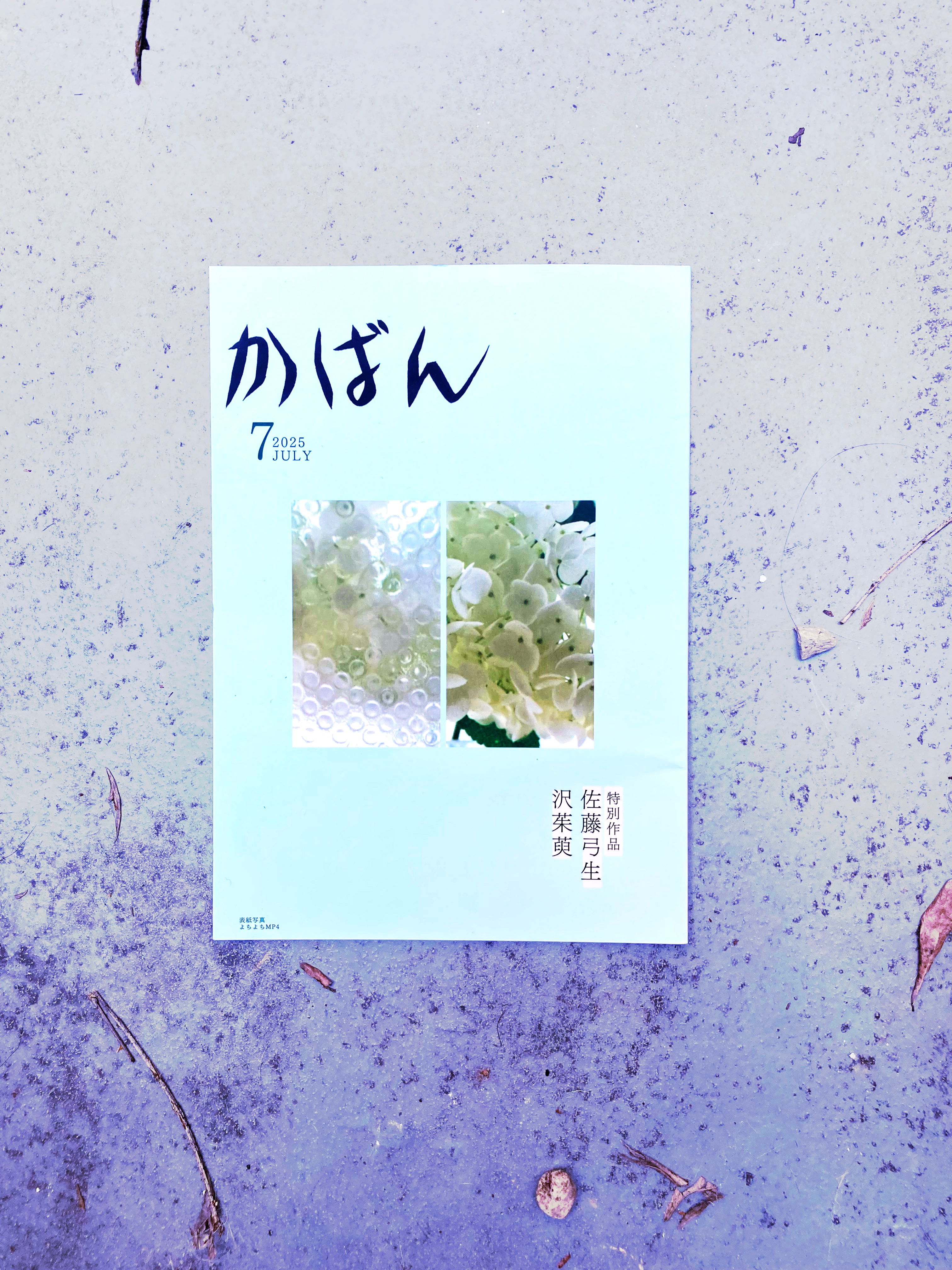 竹中皆二 短歌 色紙 竹中皆二 短歌 色紙