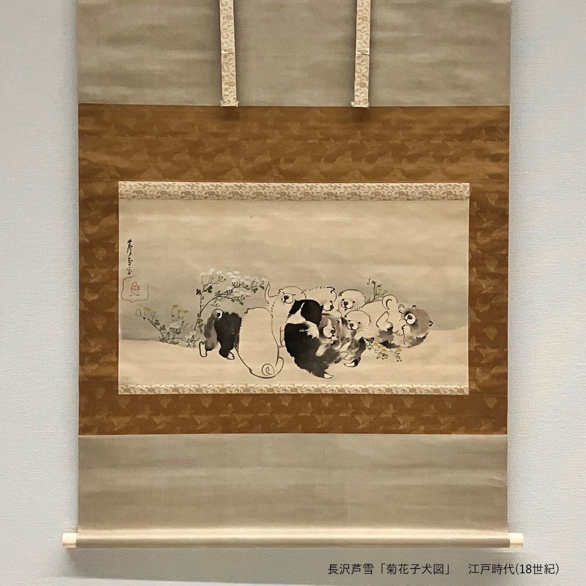 作品紹介 #14 長沢芦雪「菊花子犬図」 白と黄色の菊の花の周りで無邪気