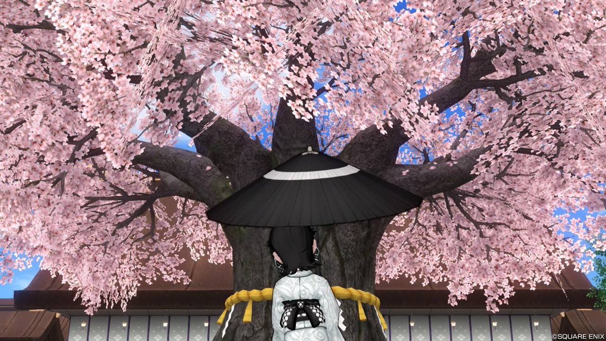 am (@am__dqx) / Posts / X