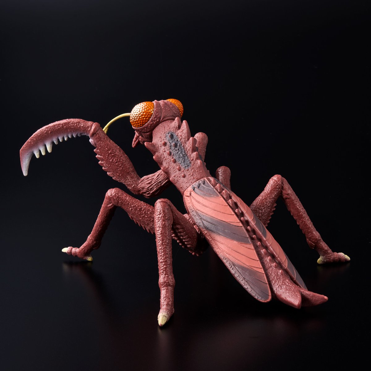 新登場 ／ 「ドリーム5 2024 BOX EDITION」の単体販売の第一弾