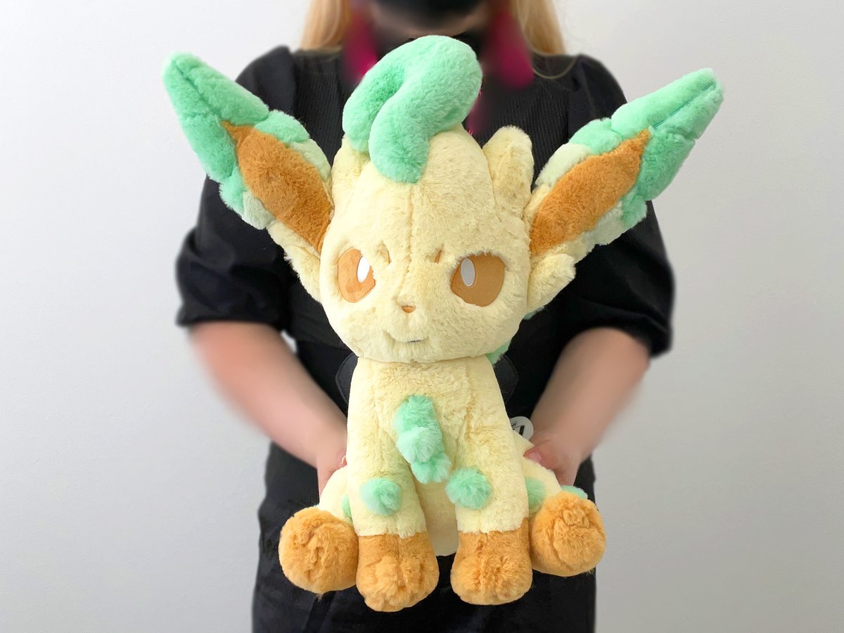 ☁ふわふわ抱きぬいぐるみ☁ シリーズ新作が #ポケモンセンター に登場