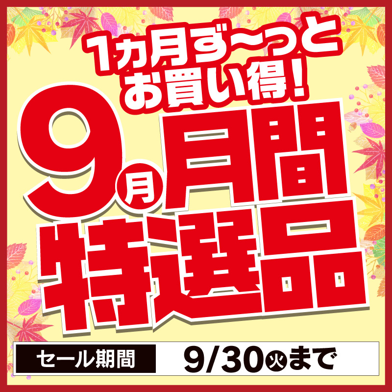1ヵ月ずーっと お買い得！ 9月月間特選品 ＼ 炊飯器やホットプレート