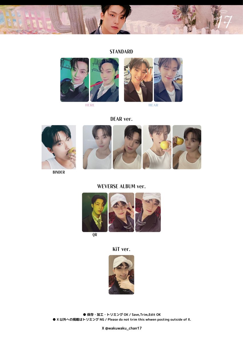 セブチ　ディノ　まとめうり　約40種