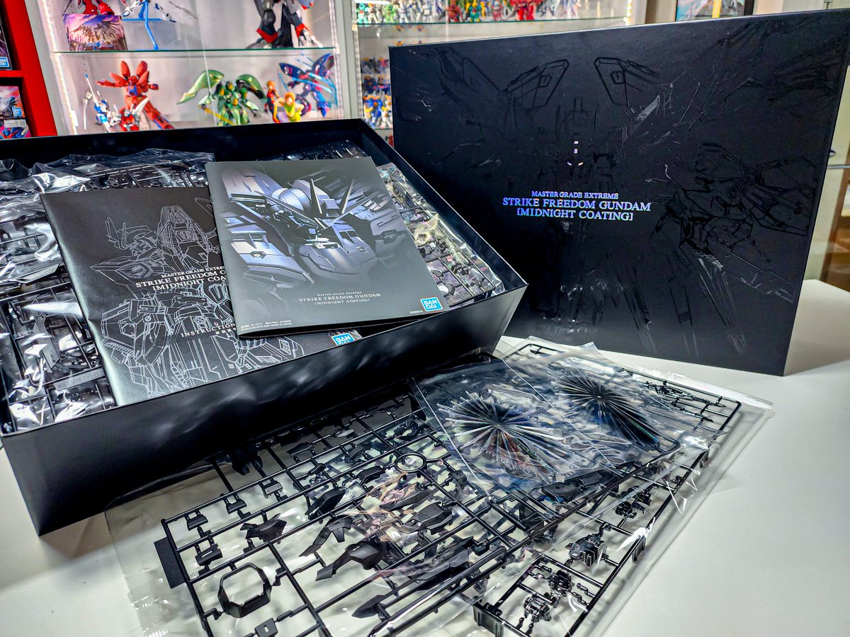 というわけで今回ゲットしたのはMGEXストライクフリーダムガンダム