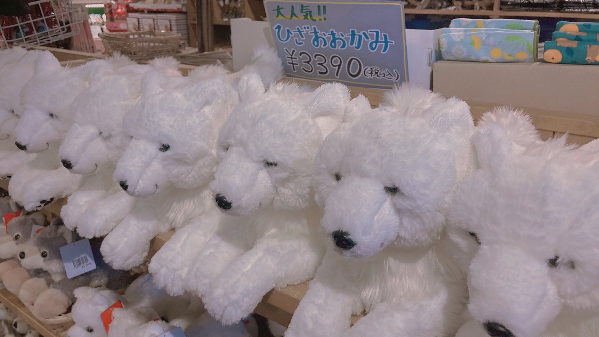 🌼おすすめグッズ情報🌼 那須どうぶつ王国限定!! 【ひざおおかみ