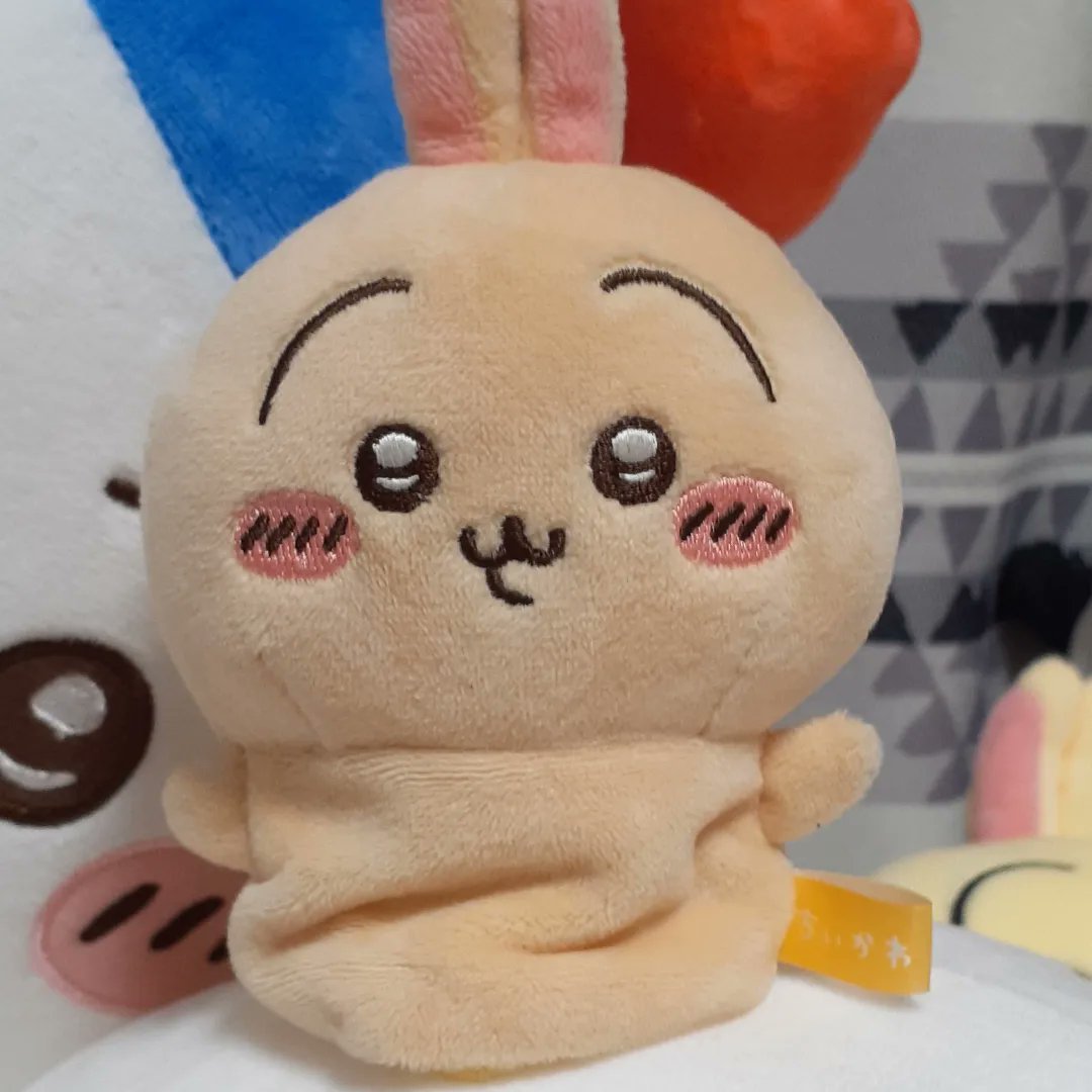 いま話題のウラヤハボウズ。 良く考えると、普通に販売されてる