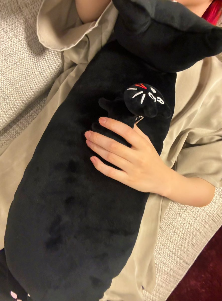 キヨ新グッズ発表】 キヨ猫ぬいぐるみ＆キヨ猫ロングクッション