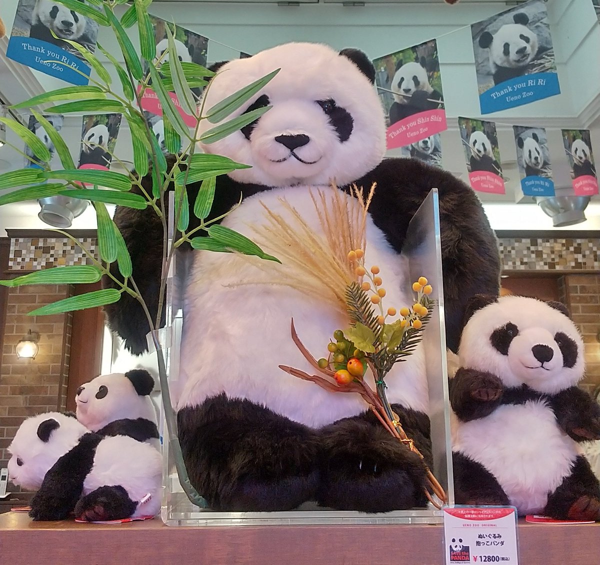 抱っこシャンシャン」が「抱っこパンダ」と名前を変えていた‼️ 固有