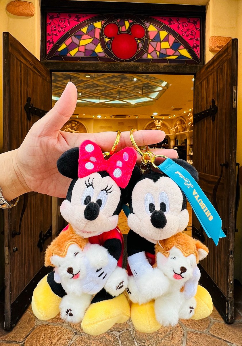 ✨じゃじゃーん✨／ #ディズニーストア 渋谷公園通り店限定