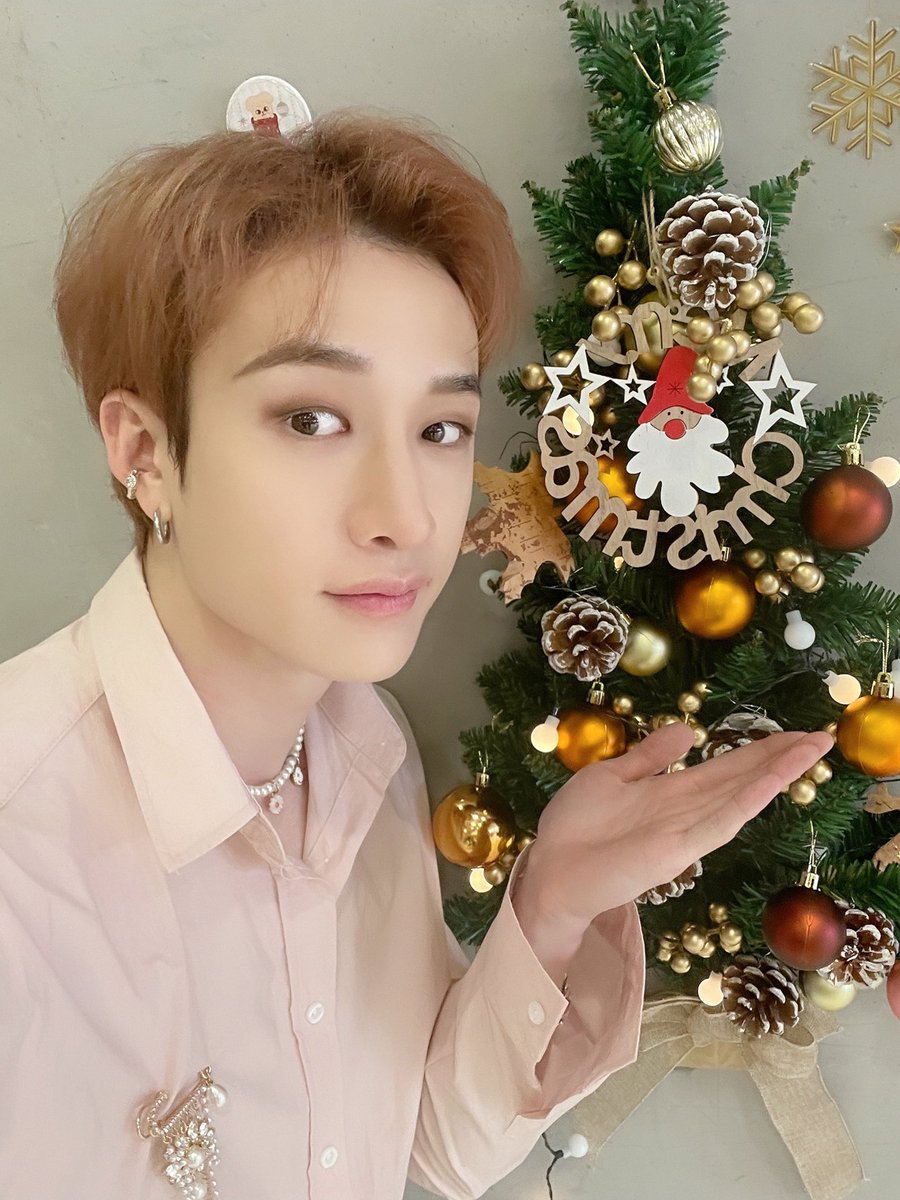 Dear STAY❣ スキズとSTAYの特別なスキズマス！🎁🎁🎁✨ STAYの立派な