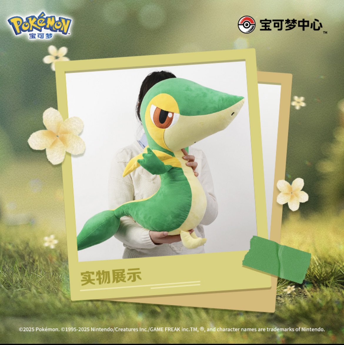 ツタージャ ぬいぐるみ ポケモン ポケモンセンター 限定 等身大