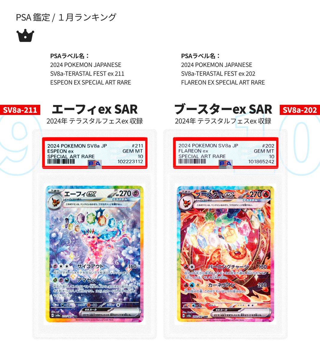 2025年1月PSAジャパンの最新鑑定カードランキングはこちら！ 6位から10