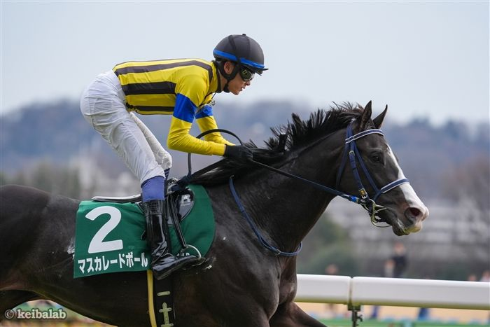 揺れて魔性のリズム】 #マスカレードボール #坂井瑠星 #共同通信杯