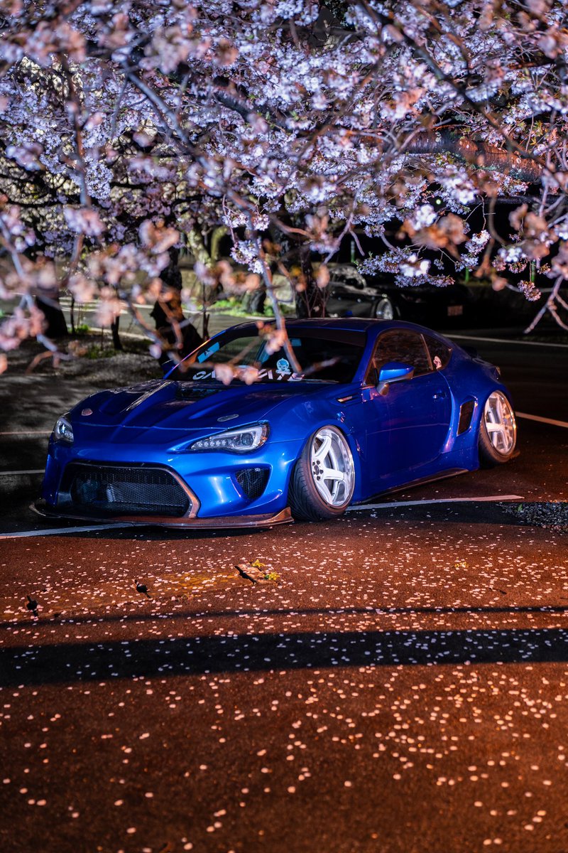 サヤカ (@Sayaka_brz) / Posts / X