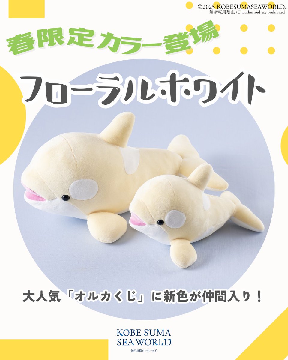 本日より春限定 #フローラルホワイト カラーの「オルカくじ」が3等と4