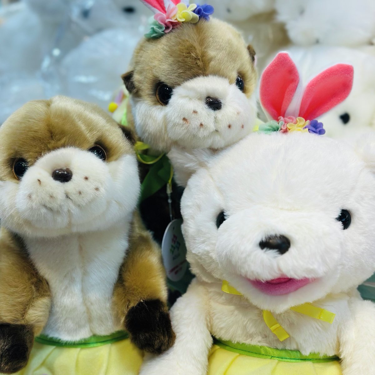 🌸はなパラ開催中🌸 ぬいぐるみたちが春の訪れを華やかにお知らせ中