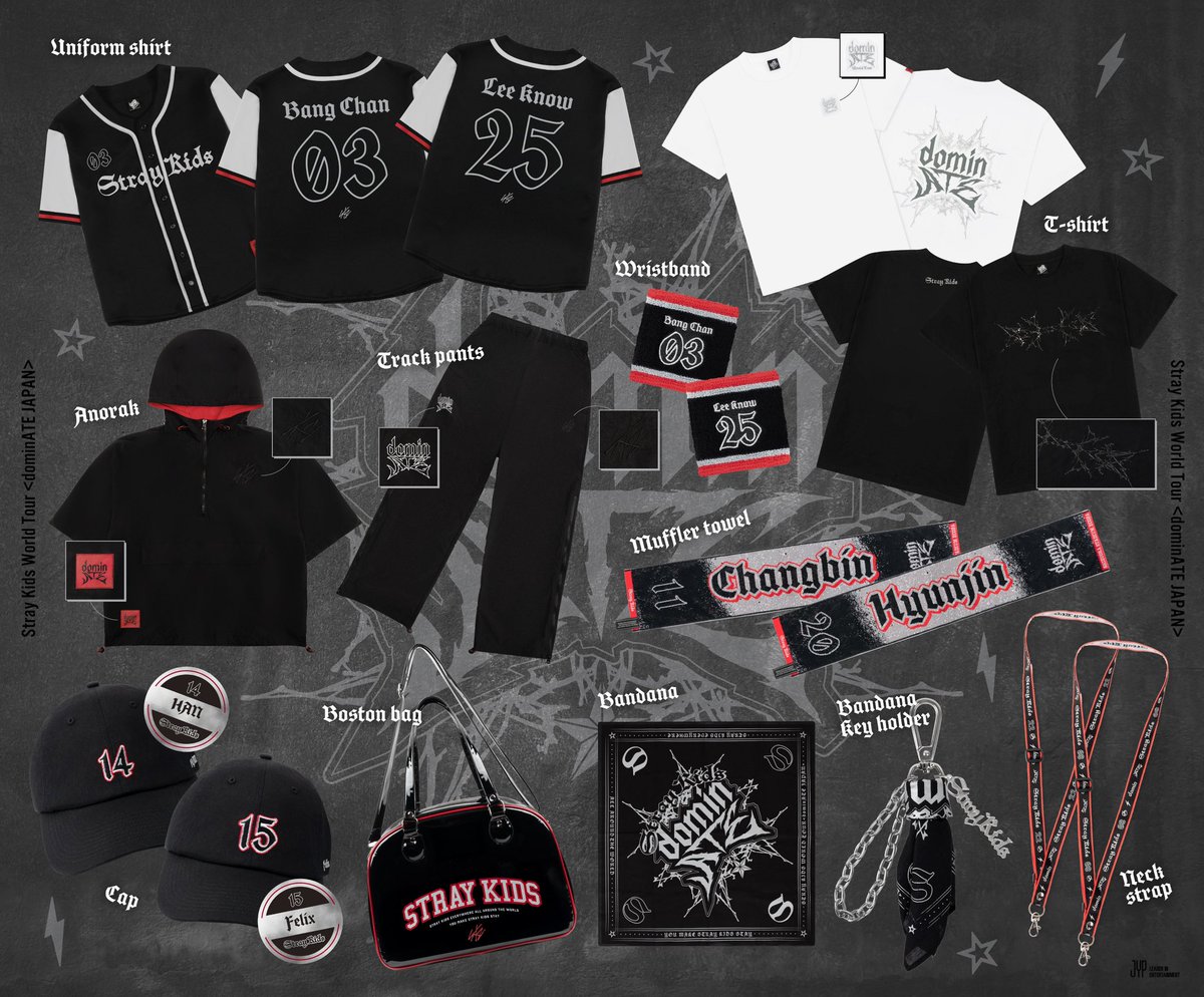 Stray Kids POPUP スキズ エコパ 購入特典 12種 コンプ SKZ エコパ POP UP STORE 奇跡的に初日 当選出来て 無事に闇ZOO