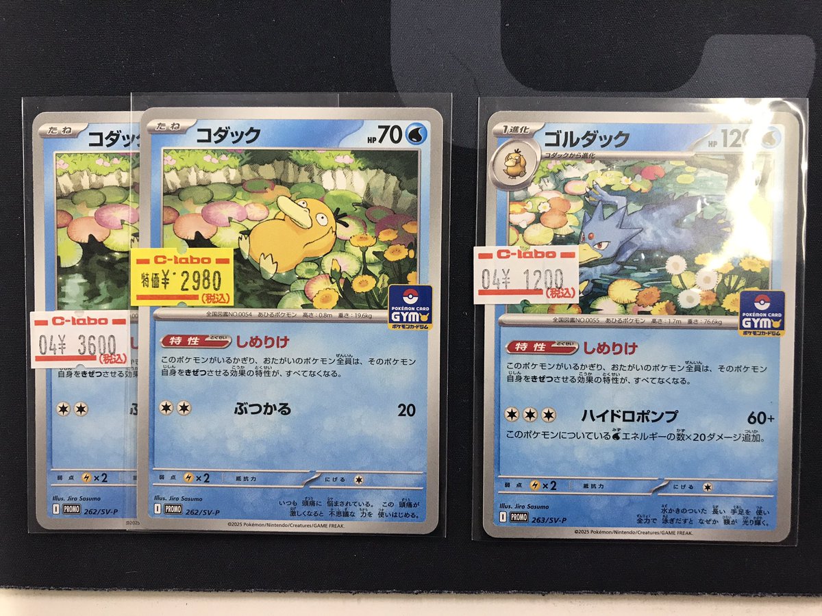 ポケモンカード 販売情報】 しめりけ《コダック》《ゴルダック》販売中