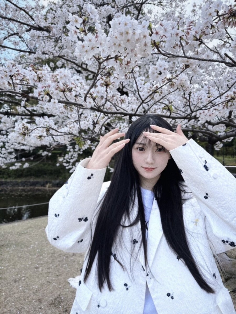 13周年記念　川﨑桜