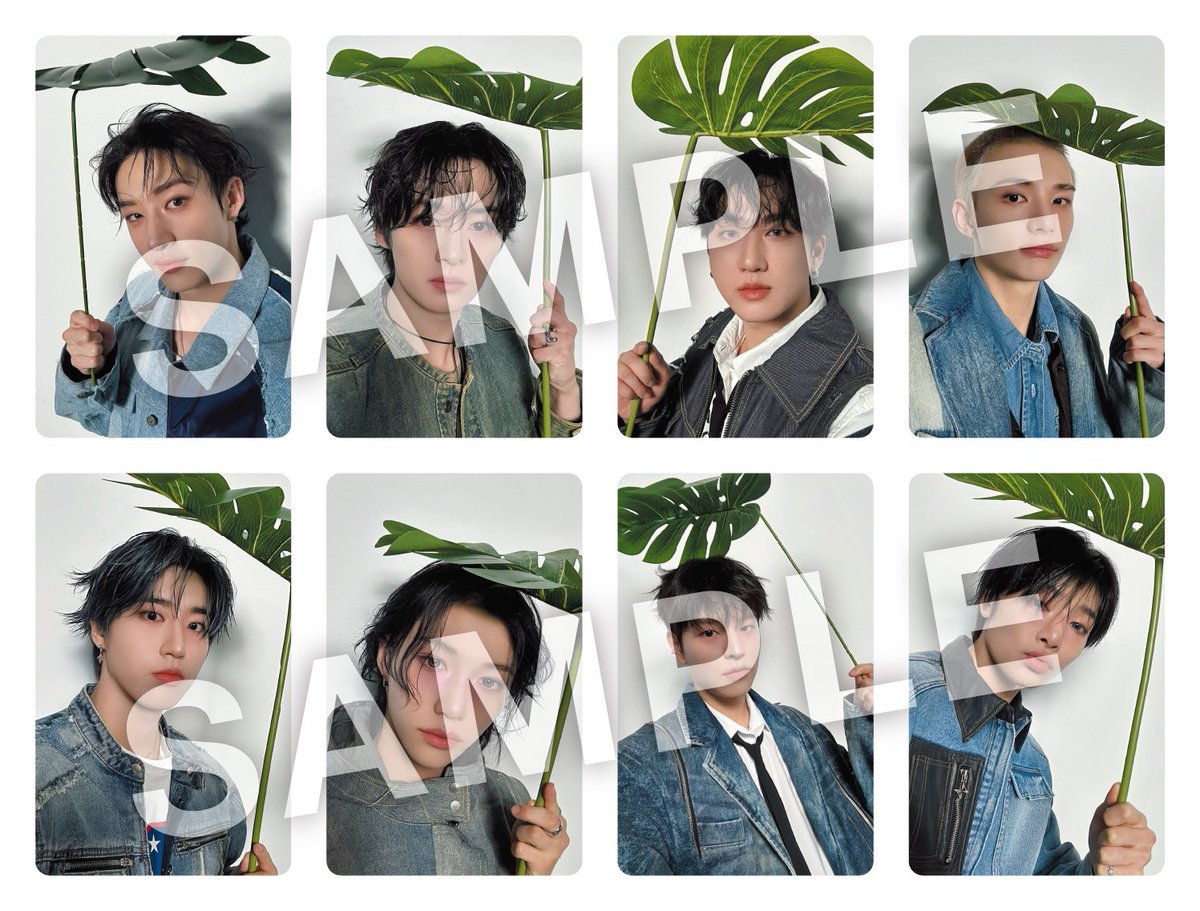 スキズ トレカ 会場限定 特典 エコパ 静岡 コンプ エコパ会場限定トレカつきCD予約とかFCサイトとか情報が大暴走の巻