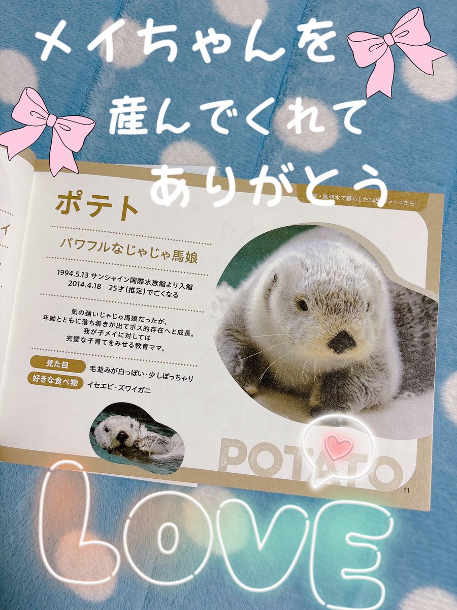 ポテトさん🫶🏻🤍メイちゃんを産んでくれてありがとう🥺🥺メイちゃんを