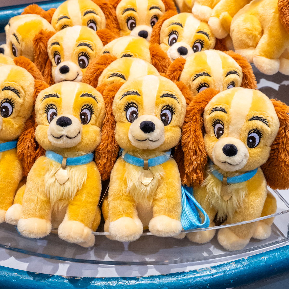 レディ、トランプデザイン！ 東京ディズニーリゾート 『わんわん物語