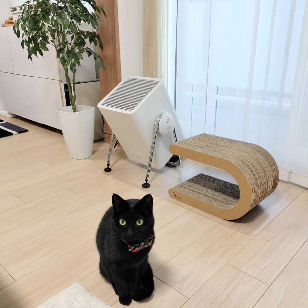 動物と暮らすおうちにぴったりな空気清浄機が気になる方は