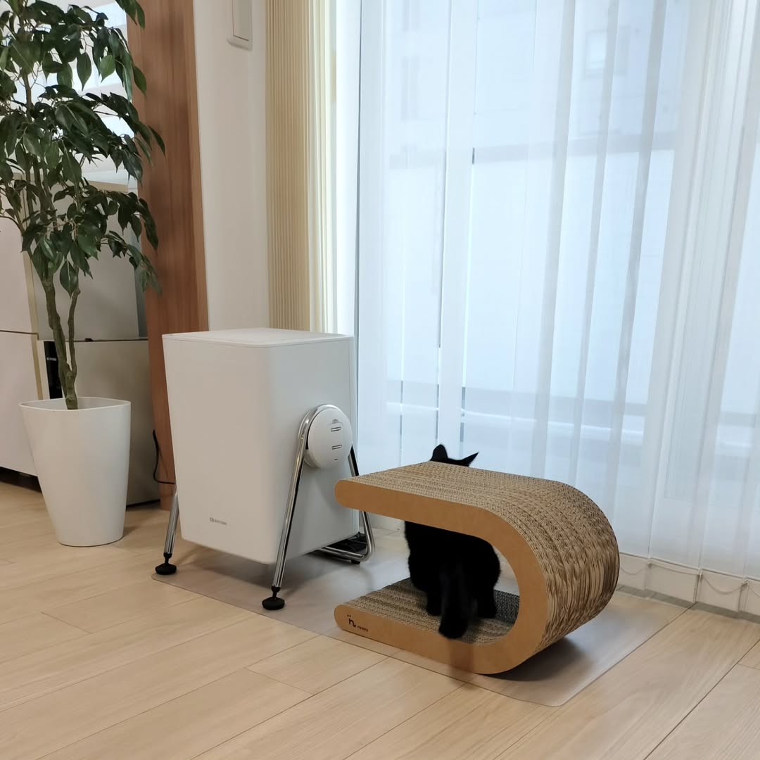 動物と暮らすおうちにぴったりな空気清浄機が気になる方は