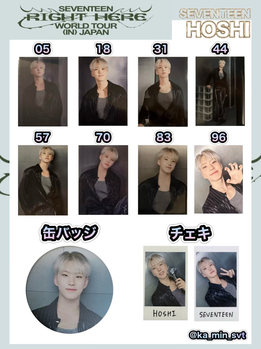 SEVENTEEN💎 RIGHT HERE WORLD TOUR in JAPAN メンバー別 トレカ