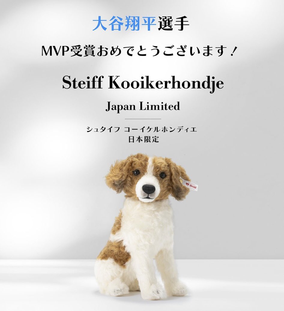 シュタイフ Steiff ぬいぐるみ コーイケルホンディエ 犬 12⁄16迄