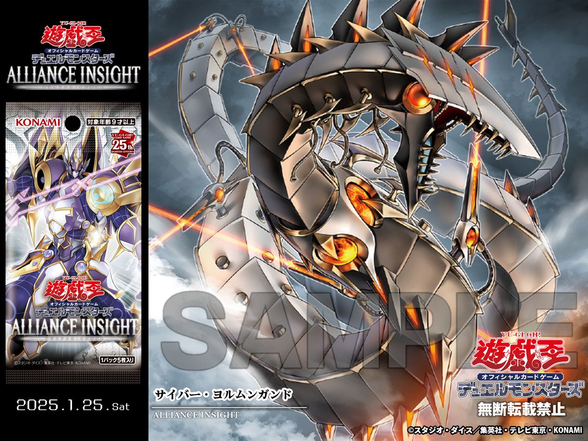 ⋅⋆⋄✧ 𝘼𝙇𝙇𝙄𝘼𝙉𝘾𝙀 𝙄𝙉𝙎𝙄𝙂𝙃𝙏 𝟐𝟎𝟐𝟓.𝟏.𝟐𝟓 𝐒𝐚𝐭