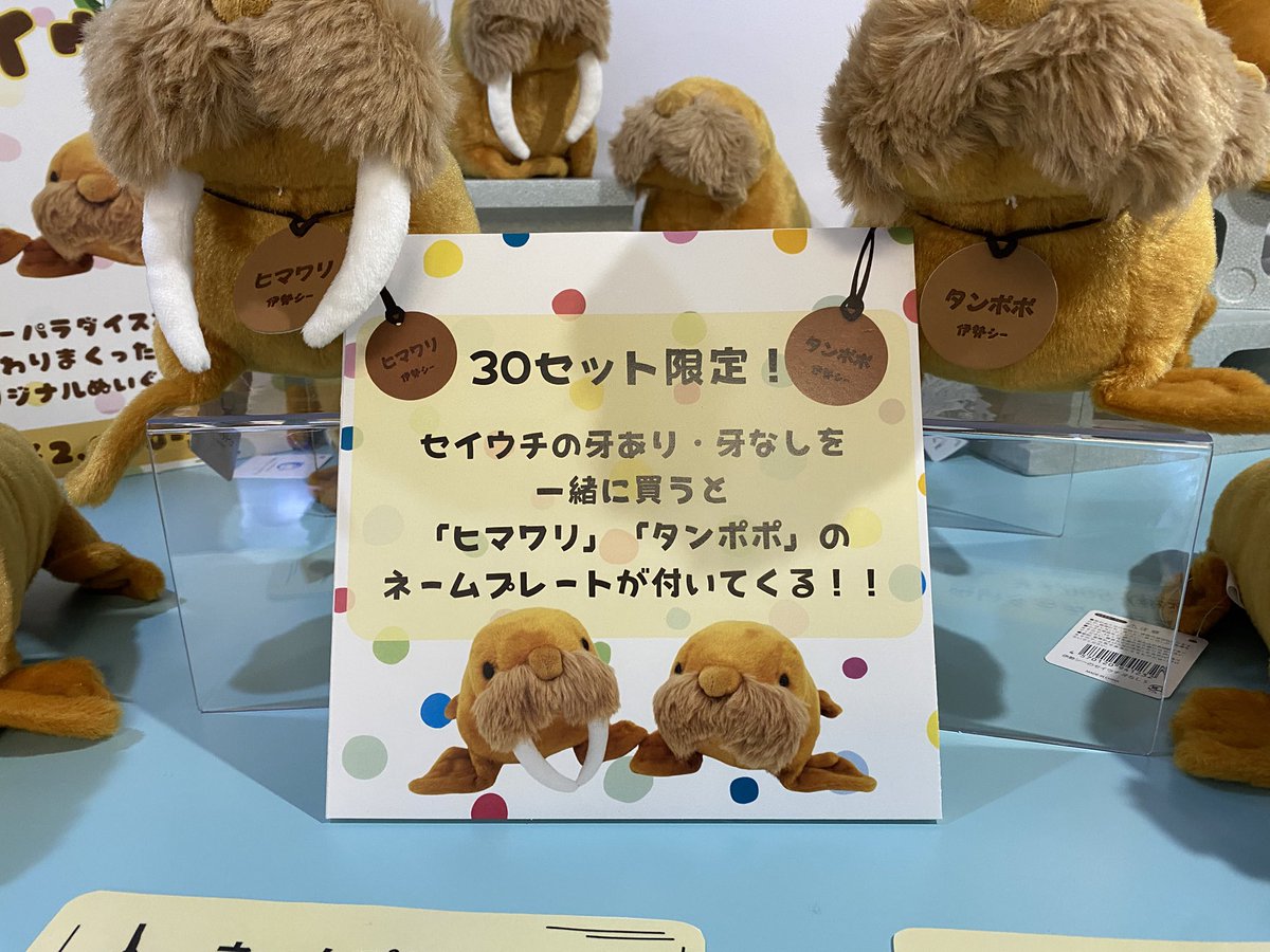 お知らせ📢】 みなさーん！遂に‼️遂に‼️ シーパラ完全オリジナル