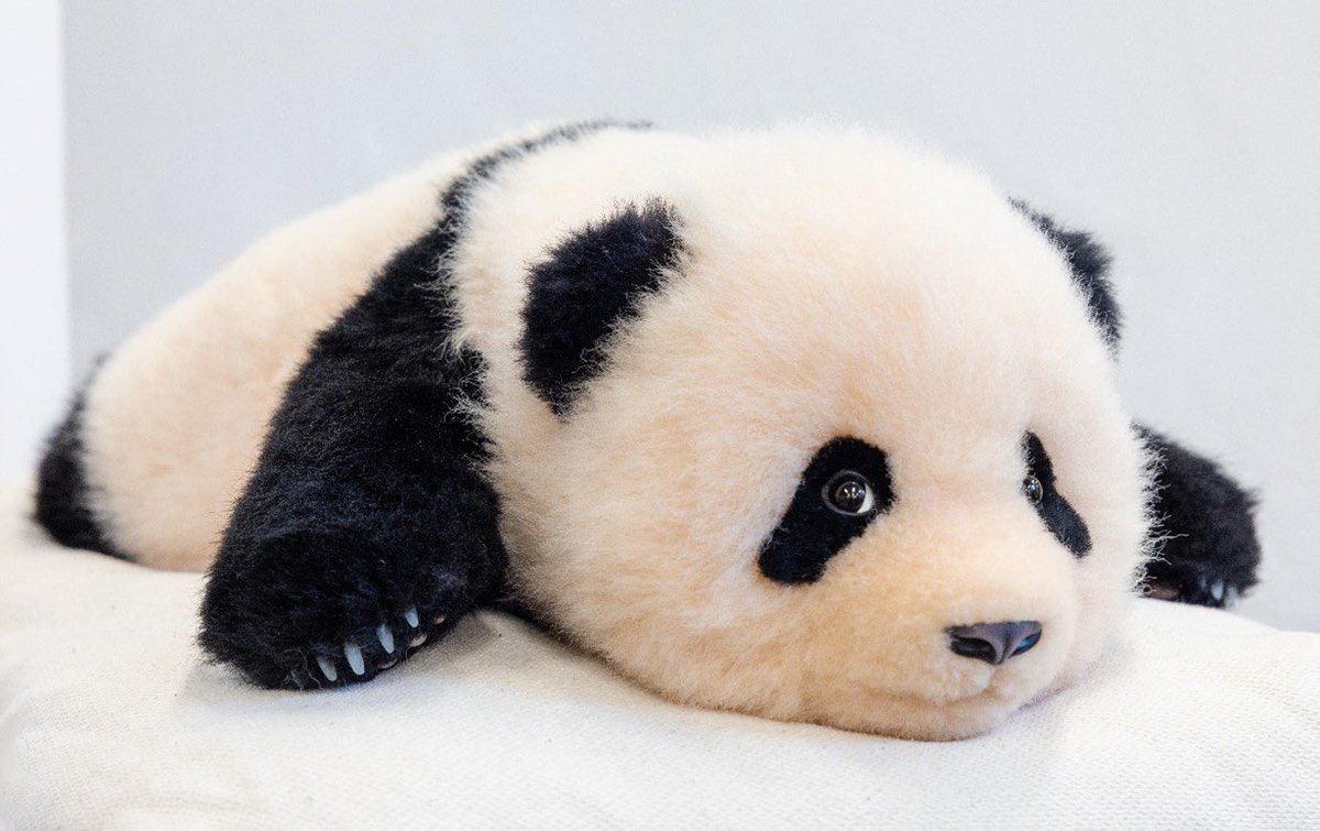 熊猫工場（Panda Factory）】 12月24日発売・シャンシャン 生後3か月