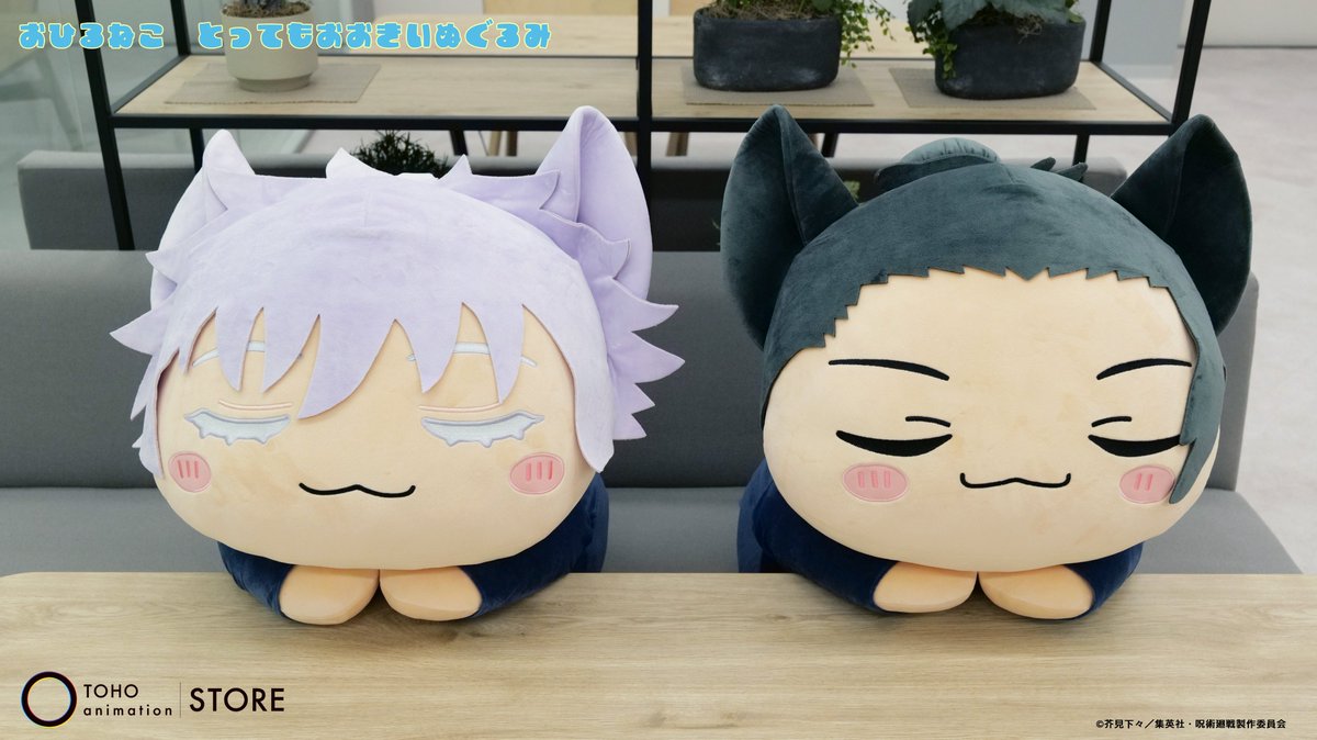 呪術廻戦】 ＼TaS限定／ 第2期「#懐玉・玉折 」より「おひるねこ