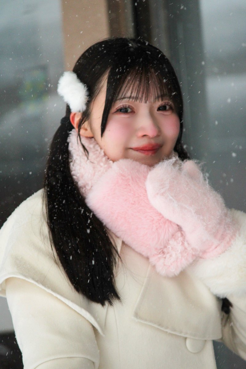 のぶたん (@nobutan0729) / Posts / X