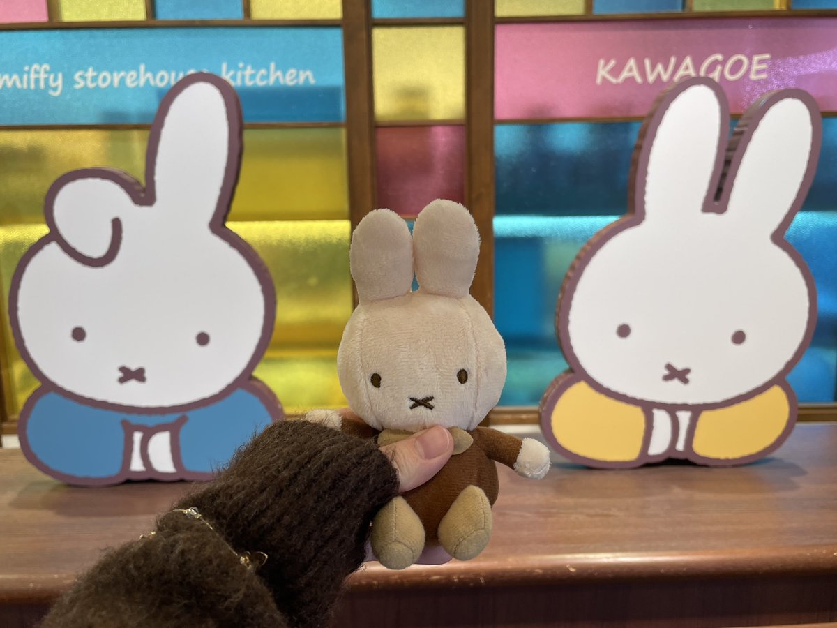 ぬい活 #miffy #ミッフィー ここ来たこの場所で撮っちゃうよね