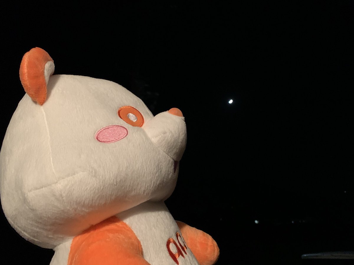 AAAと共に歩んできた人生だから、ただ今は寂しい。でも楽しかった記憶