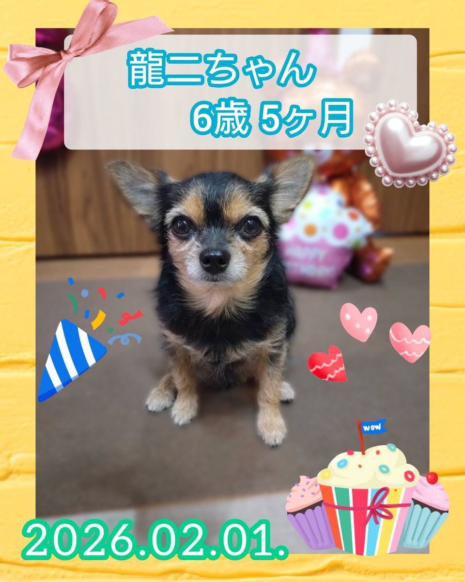 龍ちゃんズとよっちゃんみっちゃん (@ryuchan123bro) / Posts / X