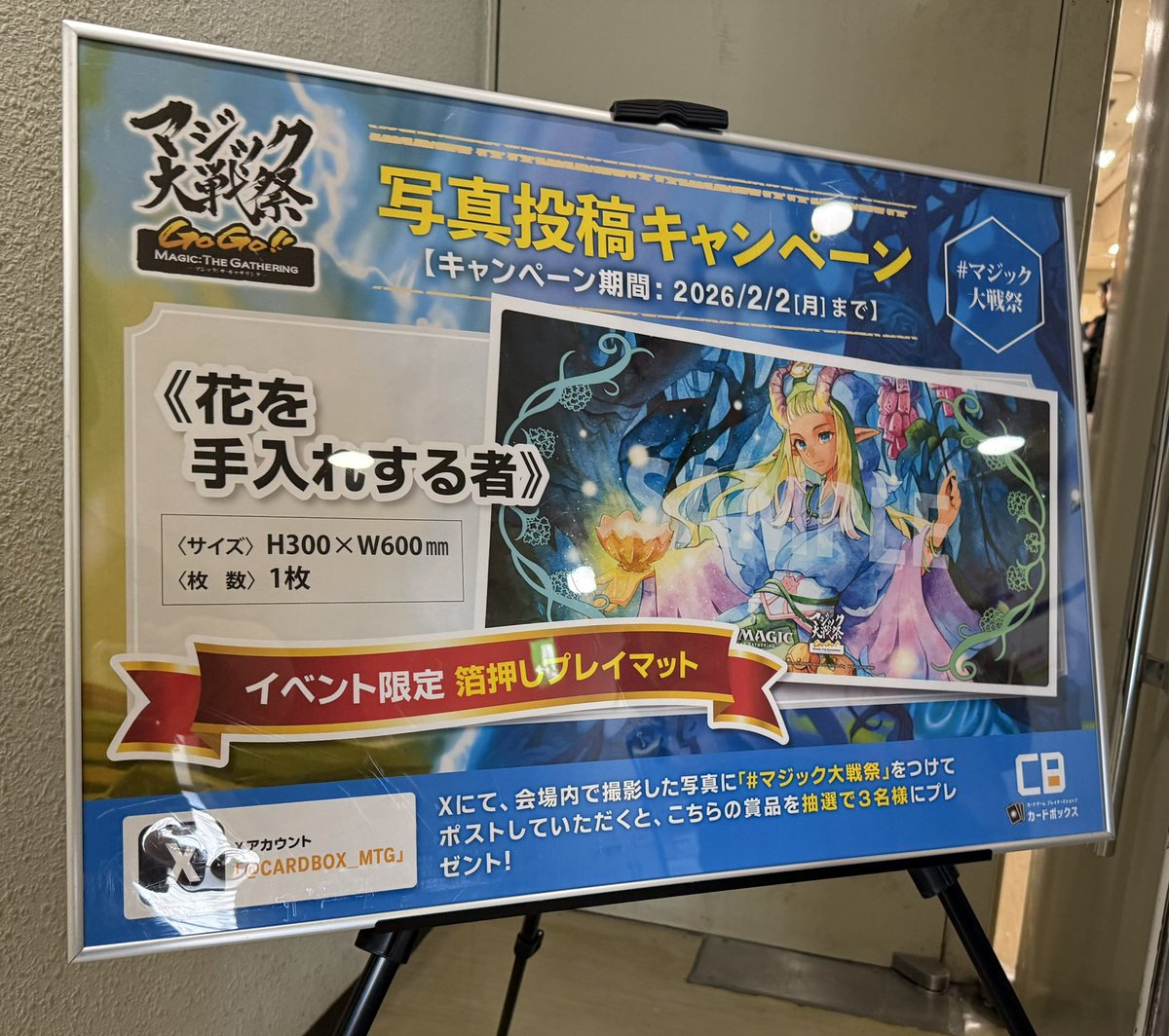 んおおお！！！ カードボックスさん（@CARDBOX_MTG ） のキャンペーン