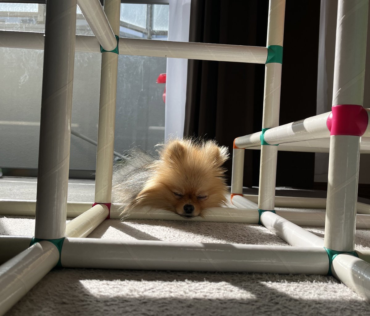 ころも (@pome_koromo) / Posts / X