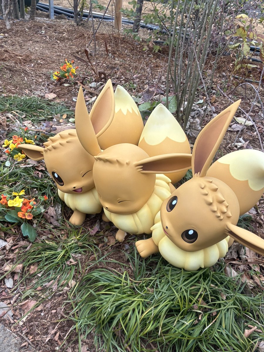 イーブイだらけ🥹 #ポケパークカントー