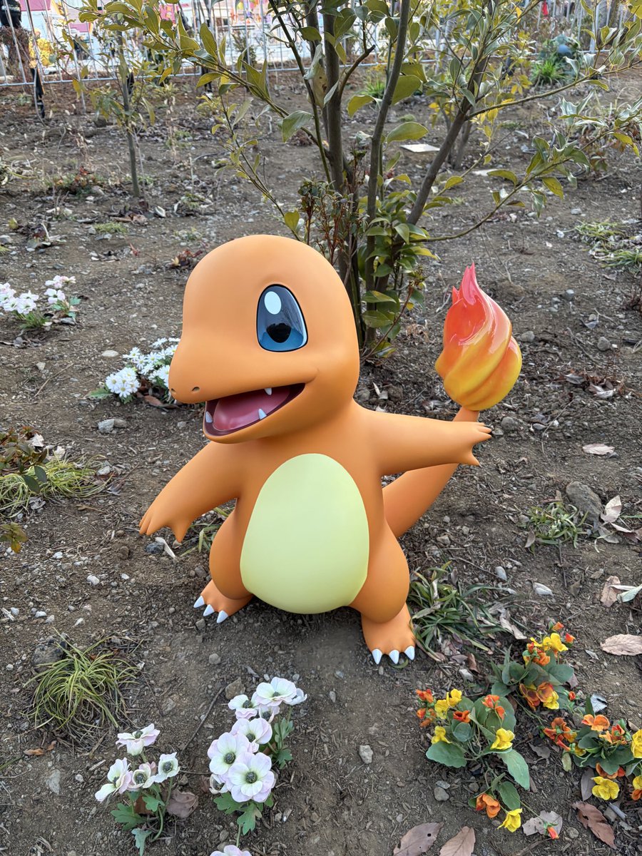 ヒトカゲ➡️リザード➡️リザードン🔥️ #ポケパークカントー