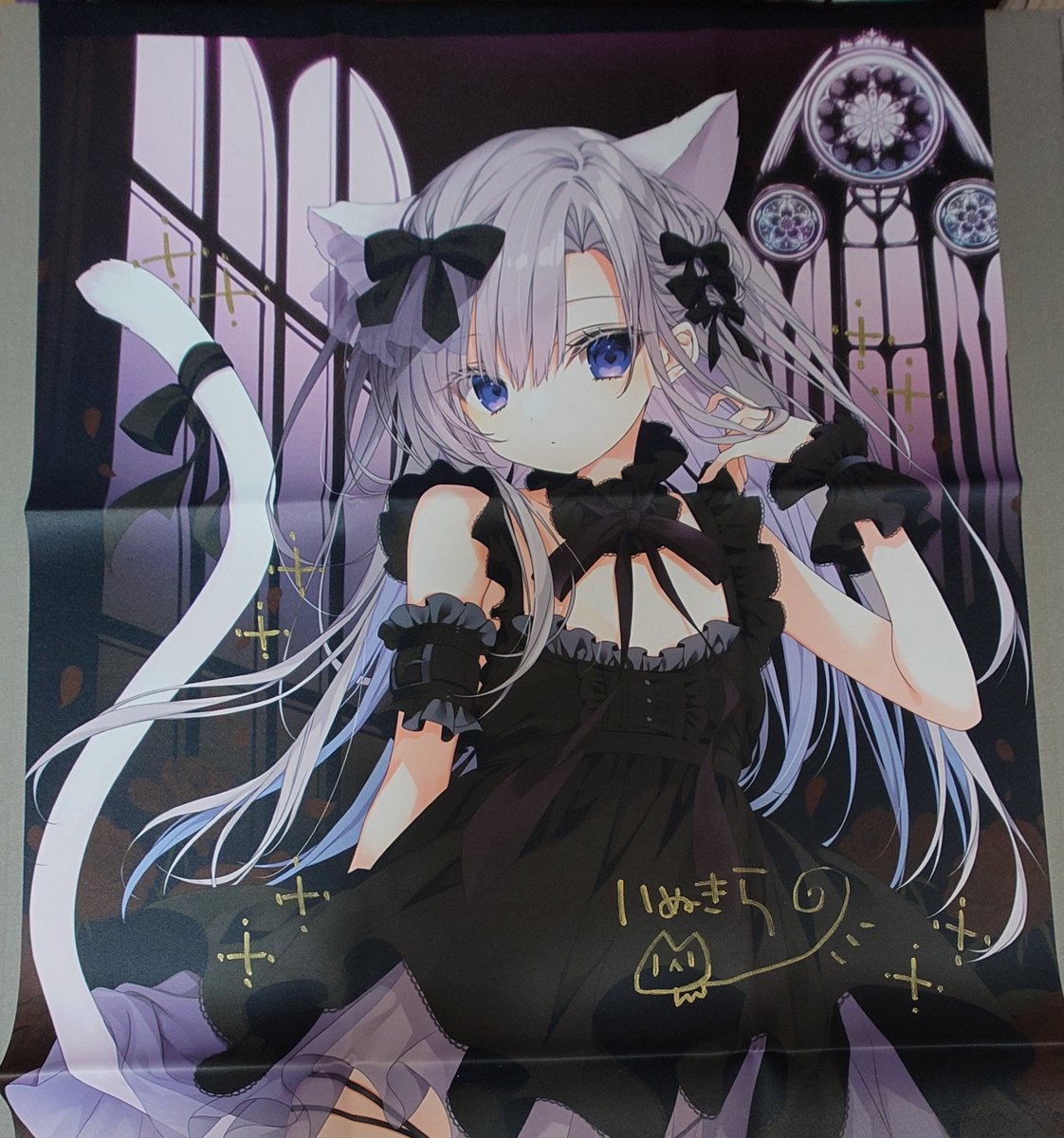 いぬきら(狗神煌) (@kilacco) / Highlights / X