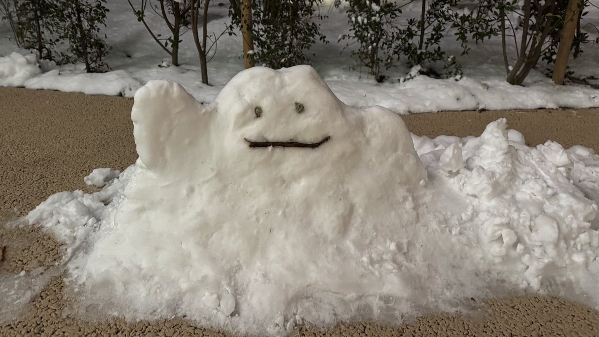 ポケパークにメタモン雪だるま⛄いました！！！😍💖 #ポケパークカントー