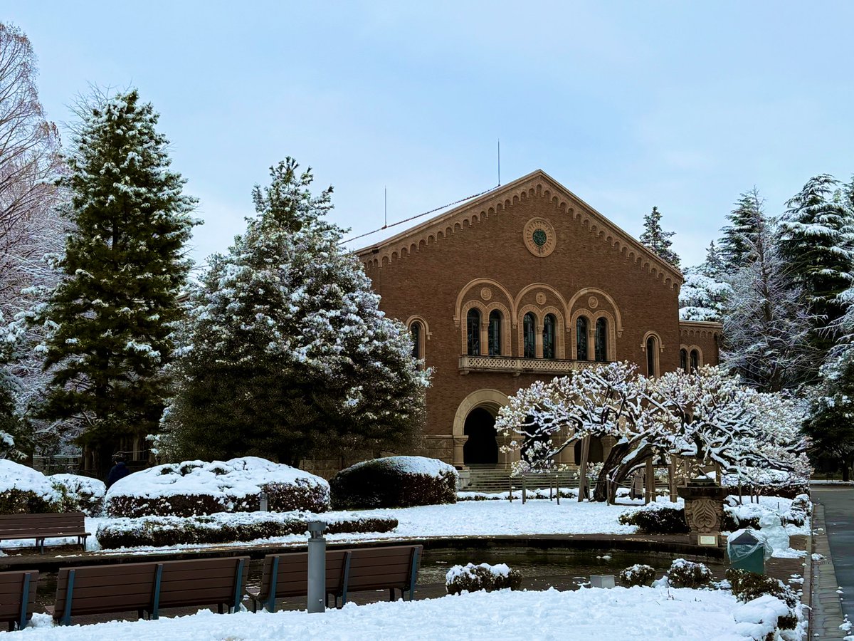 HIMAWARI (@387sunflower) / Posts / X