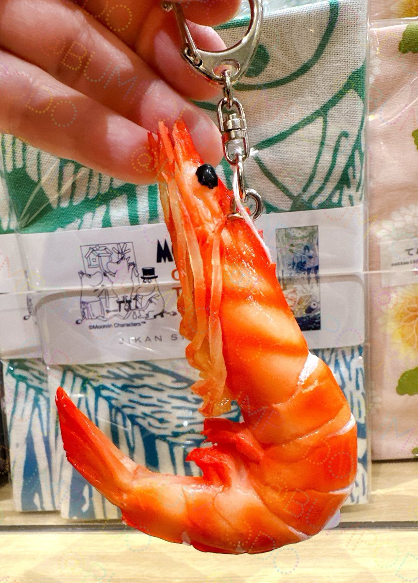 Post by 奇妙堂・姐御 on X: エビちゃん！！