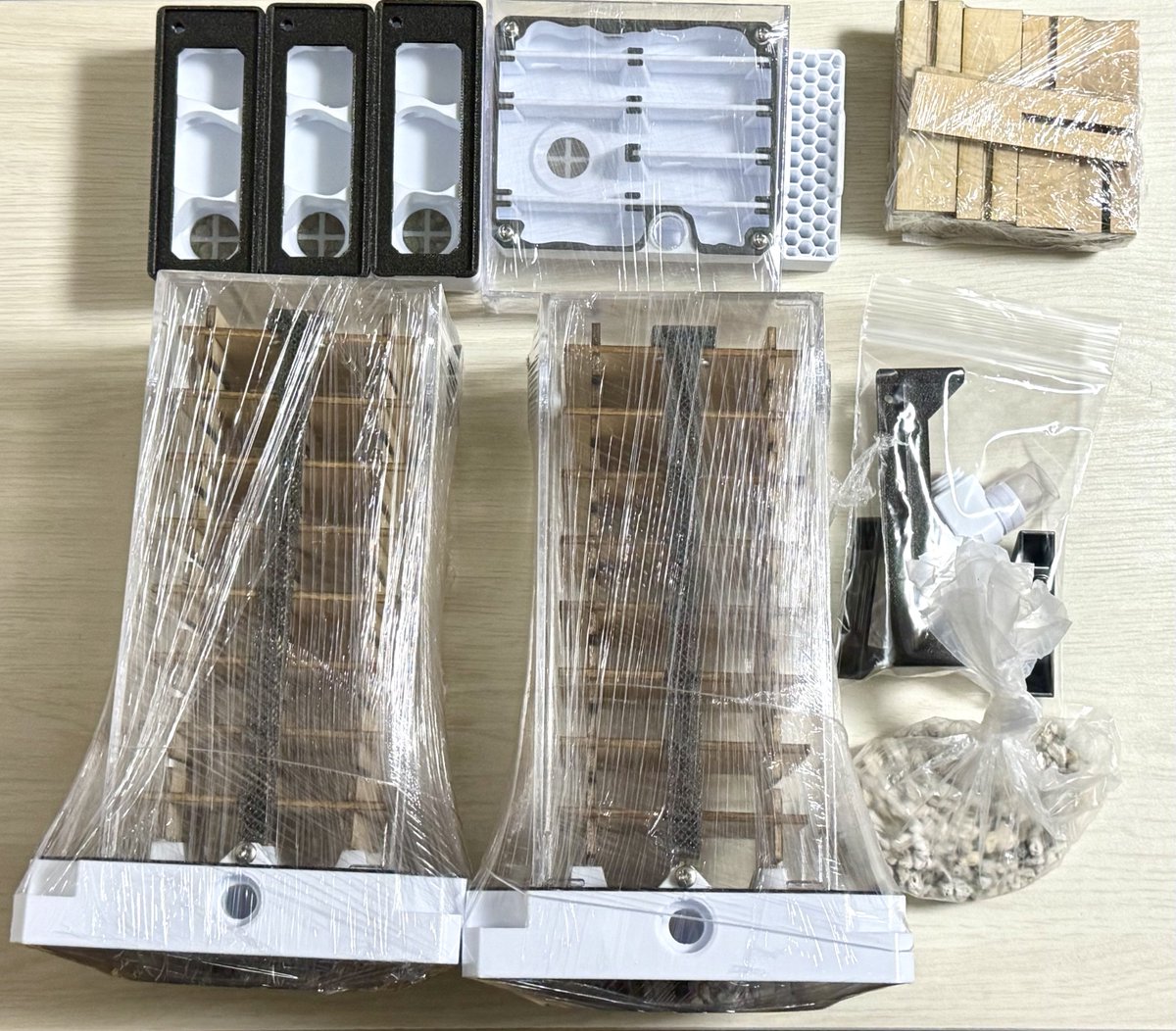 あり巣 in underground @ アリ飼育用品と女王アリの販売