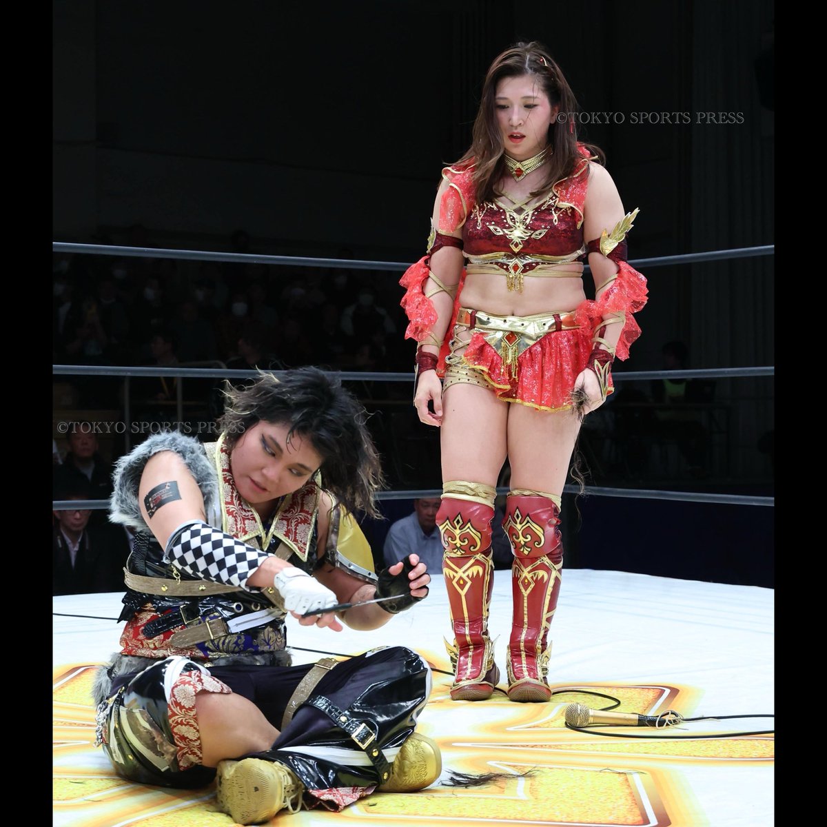 Marigold マリーゴールド (@DSF_Marigold) / Posts / X