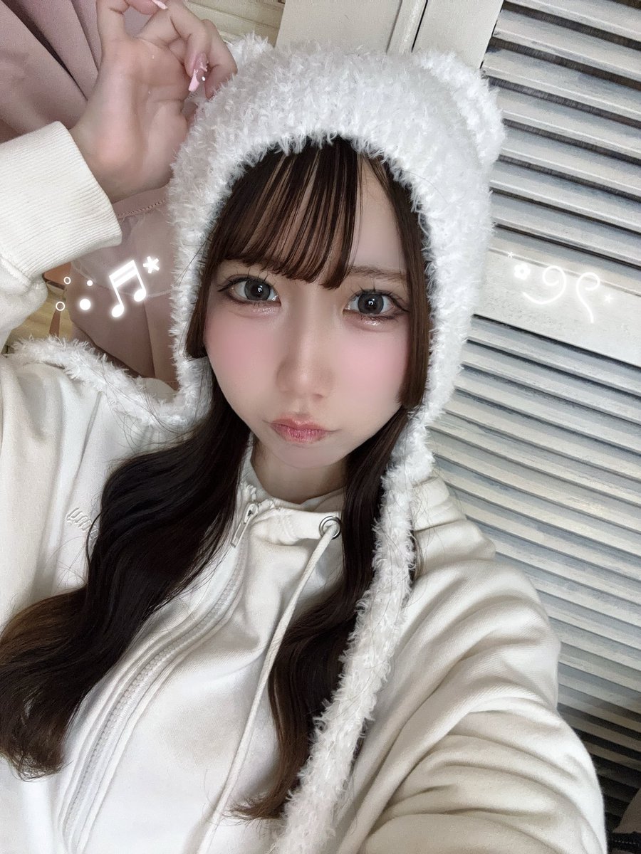 Post by まゆ on X: 🐻‍❄🤍