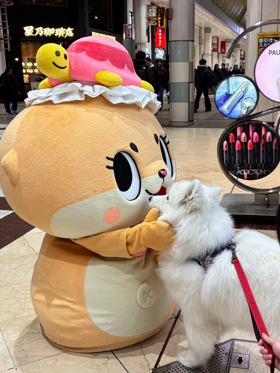 公式：ちぃたん☆仙台 (@Chiitan_Sendai) / Posts / X